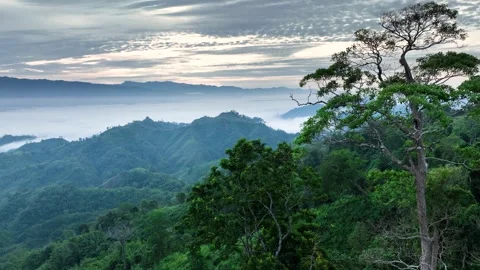 Aerial View of Cloud-Covered lush Mountains in Sajek Valley, Bangladesh Stock Footage 285307433