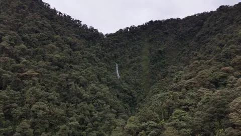 Aerial View of Cloud Forest and Mountain Road in Mindo Ecuador Stock Footage 336795726