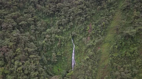 Aerial View of Cloud Forest and Mountain Road in Mindo Ecuador Stock Footage 336795735