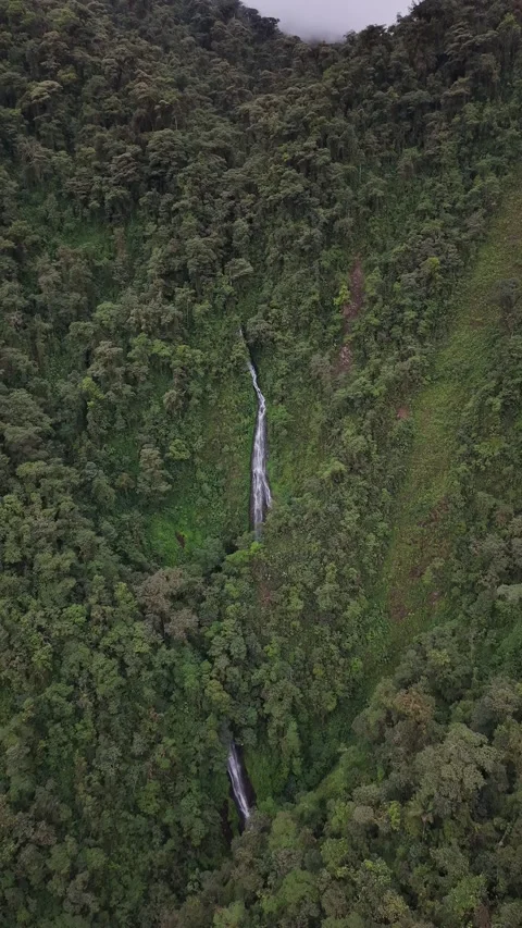 Aerial View of Cloud Forest and Mountain Road in Mindo Ecuador Stock Footage 336795754