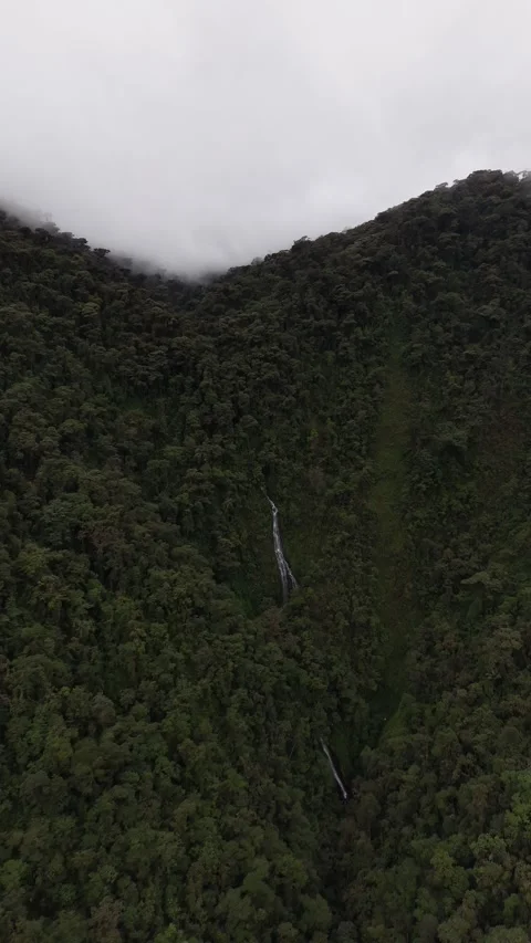 Aerial View of Cloud Forest and Mountain Road in Mindo Ecuador Stock Footage 336795756