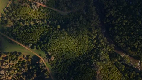 Aerial view of cloud shadow moving over forest and river Stockbeeldmateriaal 334775525