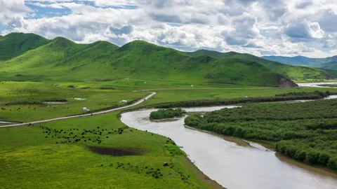 Aerial view of cloud shadows over green mountains and yak herd grazing Stock Footage 347182314