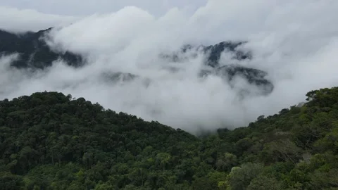 Aerial View, Clouds Above Rainforest in Rural Guyana, South America, Drone Stock Footage 233757635