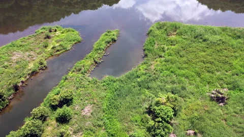 Aerial view of clouds and trees reflected in surface of river Stock Footage 136873872