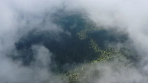 Aerial view from the clouds on the beautiful forests of the Czech Republic Video stock 148049771