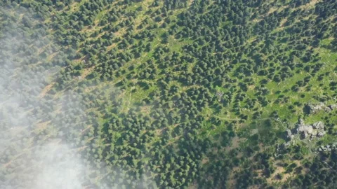 Aerial view from the clouds on the beautiful forests of the Czech Republic Stock Footage 148049851