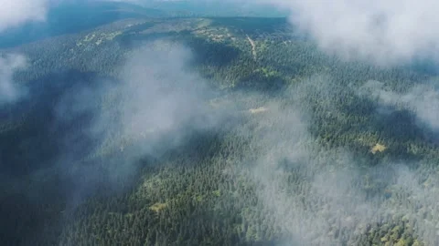 Aerial view from the clouds on the beautiful forests of the Czech Republic Video stock 148050087