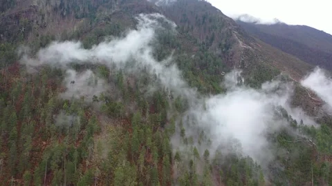 Aerial View of Clouds Flowing Over Mountain Forest in Tibet Linzhi Vídeo Stock 345845902
