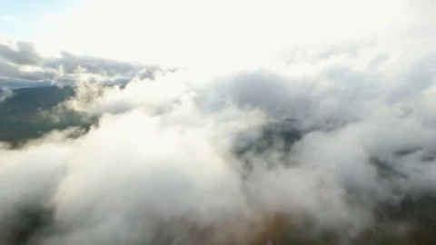 Aerial view of clouds with a forest below with fall colors. Stock Footage 69079439
