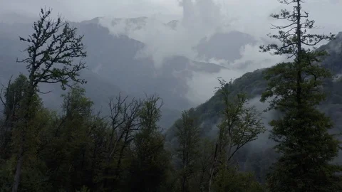 Aerial view clouds in mountain, Green wet forest landscape Stock Footage 118724000
