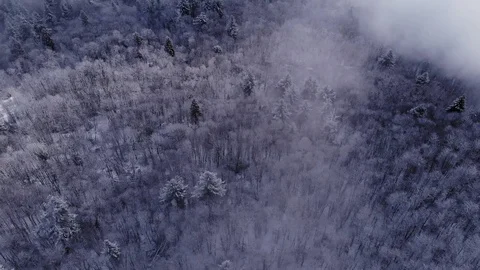 Aerial view in the clouds in the mountains above the snowy forest Stock Footage 122172840
