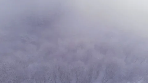 Aerial view in the clouds in the mountains above the snowy forest Stock Footage 122172876