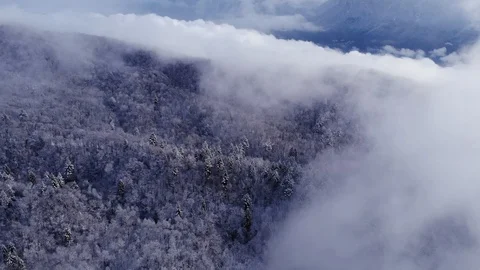 Aerial view in the clouds in the mountains above the snowy forest Stock Footage 122172969
