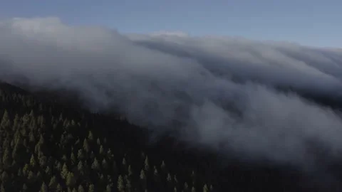 Aerial view. Clouds sea falling down from the mountain to valley-5. Drone shot. Vidéo 158556995