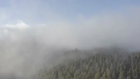 Aerial view. Clouds sea falling down from the mountain to valley-8. Drone shot. Stock Footage 158557093