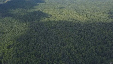 Aerial view of clouds shadows on forest at summer Stock Footage 78771576