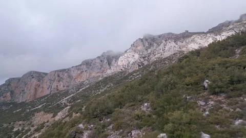 Aerial View of Cloudy Mountain with Trees in Foreground Stock Footage 301937489