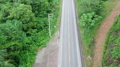 Aerial view of cloudy road on the amazon rainforest Stock Footage 219414061