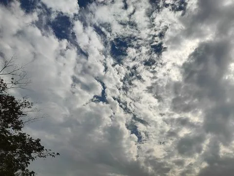 Aerial view of cloudy sky with tree branches on the left side  daytime scen.. 스톡 사진