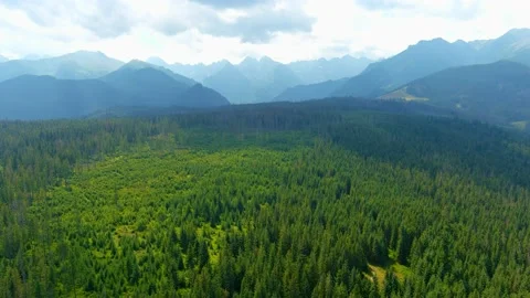 Aerial view of the cloudy Tatras mountain range near the town of Zakopane Vidéo 202088610