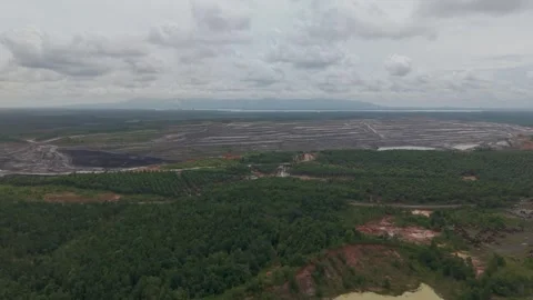 Aerial view of coal mining area surrounded by oil palm plantations Stock Footage 331728008