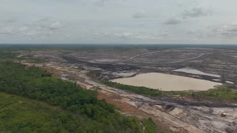 Aerial view of coal mining area surrounded by oil palm plantations Stock Footage 331728043
