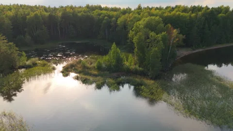 Aerial view of the coast of the lake covered with dense forest. Votkinsk Stock Footage 346635530