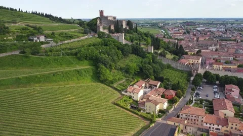 Aerial view of the coast of Lake Garda Stock Footage 155012853