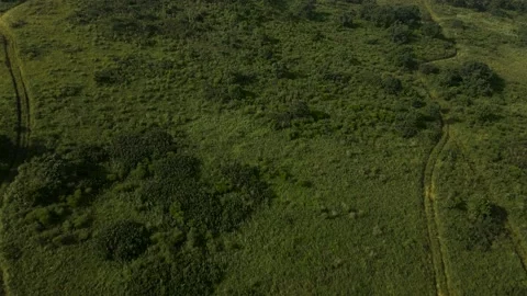 Aerial view, Coast, Rock's Cliffs, Islands, Grassland, Pacific Ocean Stock Footage 163094972