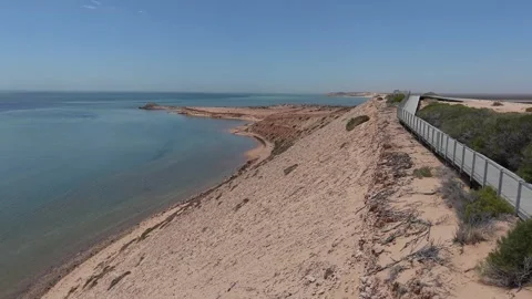 Aerial View of Coastal Eagle Bluff Lookout Boardwalk over Turquoise Shark Bay Video stock 328993014