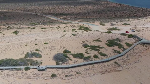 Aerial View of Coastal Eagle Bluff Lookout Boardwalk over Turquoise Shark Bay Video stock 328994846