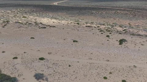 Aerial View of Coastal Eagle Bluff Lookout Boardwalk over Turquoise Shark Bay Video stock 328995107