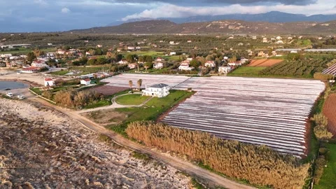 Aerial view of a coastal farmhouse surrounded by a potato plantation covered wit Video stock 303305553