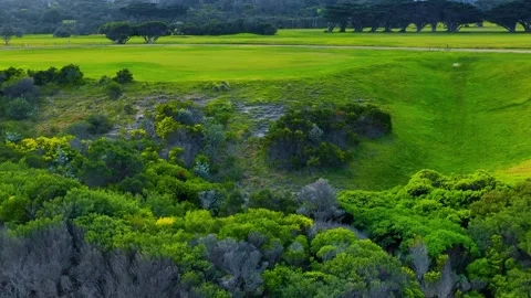 Aerial View of Coastal Golf Course Fairway and Native Shrubland Stock Footage 345486155