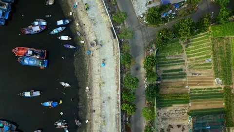 Aerial view of coastal pollution affecting rural shoreline Видео 340875274