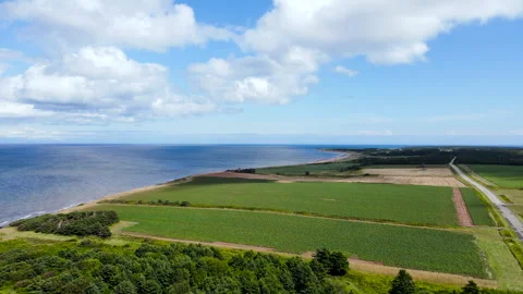 Aerial view of coastal potato fields and rural highway on Prince Edward Island Vidéo 340516765