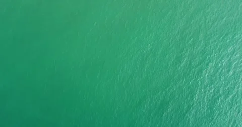 Aerial View of Coastal Waves and Sandy Beach Stock Footage 341608700