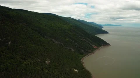 Aerial view of a coastline with tree covered mountains from drone Video stock 158017732