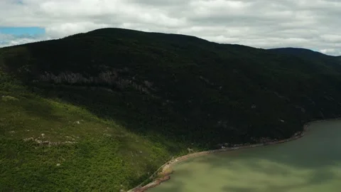Aerial view of a coastline with tree covered mountains from drone Stock Footage 158018782