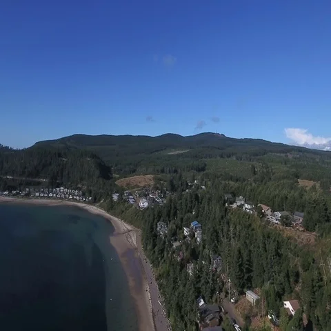 Aerial View of Coastline trees Stock Footage 69330275