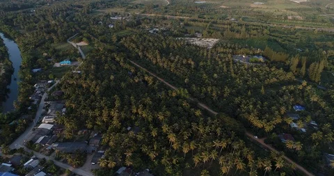 Aerial view coconut palm tree with village Stock Footage 104349935