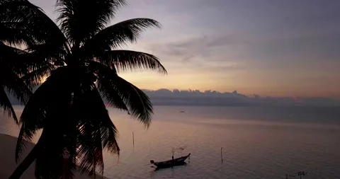 Aerial view of coconut palms Stock Footage 135396323