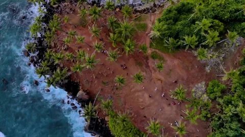 Aerial View of Coconut Tree Hill Mirissa Sri Lanka | Drone Footage | 4K Stock Footage 336739455