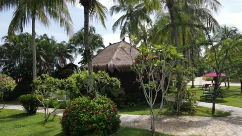 Aerial view of coconut tree, house and garden in Penang Stock Footage 150110719
