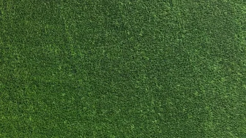 Aerial view of coconut tree shadow over paddy field Stock Footage 332606318