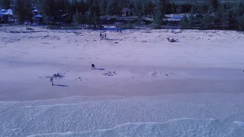 Aerial View of Coconuts Fest 2024 Beach, Pelican Point, Grand Bahama, Bahamas Stock Footage 270967131