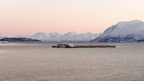 Aerial View of Cod Fish Farm in Fjord at Polar Twilight in Ringvassøya, Norway 库存影片 344366381