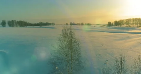 Aerial view of cold arctic field landscape, trees with frost snow, ice river and Stock Footage 165570922