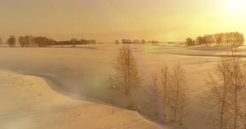 Aerial view of cold arctic field landscape, trees with frost snow, ice river and Stock Footage 169968292